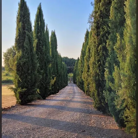 Podere Delle Querci Villa