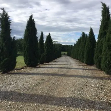 Podere Delle Querci * Castiglion Fiorentino