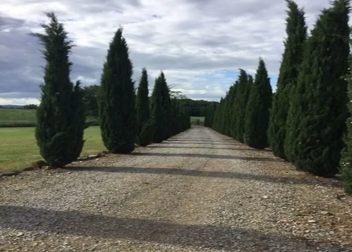 Podere Delle Querci * Castiglion Fiorentino